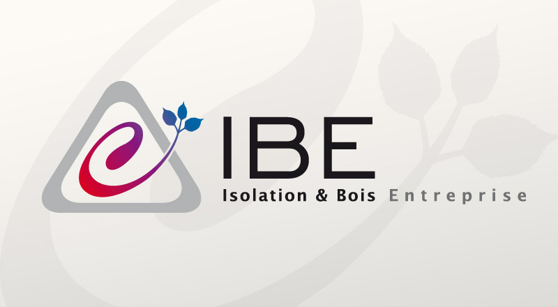 IBE Image