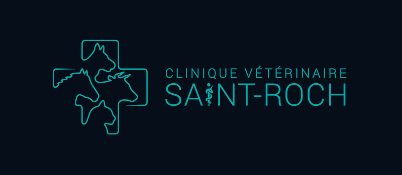 Clinique Vétérinaire Saint-Roch Image