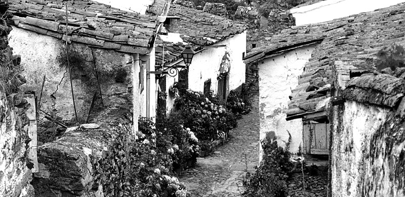 Souvenirs du Portugal Image